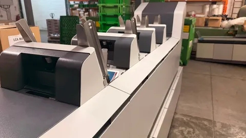 Laser and inkjet addressing stations processing mailing list data